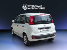 FIAT Panda 0.9 Twinair Turbo Easy, Benzina, Occasioni / Usate, Manuale - 4