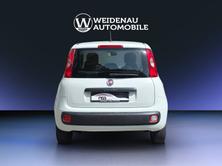 FIAT Panda 0.9 Twinair Turbo Easy, Benzina, Occasioni / Usate, Manuale - 5