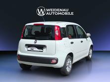 FIAT Panda 0.9 Twinair Turbo Easy, Benzina, Occasioni / Usate, Manuale - 6