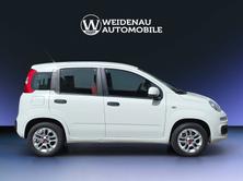 FIAT Panda 0.9 Twinair Turbo Easy, Benzina, Occasioni / Usate, Manuale - 7