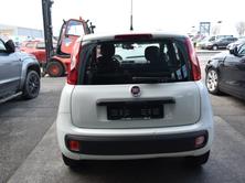 FIAT Panda 0.9 Twinair K-Way MTA, Benzin, Occasion / Gebraucht, Automatik - 6