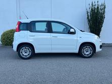 FIAT Panda 1.2, Benzina, Occasioni / Usate, Manuale - 2