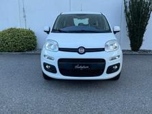 FIAT Panda 1.2, Benzina, Occasioni / Usate, Manuale - 3