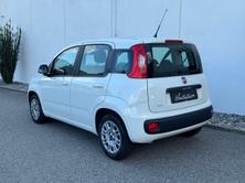 FIAT Panda 1.2, Benzina, Occasioni / Usate, Manuale - 4