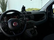 FIAT Panda 1.2, Benzina, Occasioni / Usate, Manuale - 6