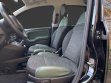 FIAT Panda 0.9 Twinair Turbo 4x4, Essence, Occasion / Utilisé, Manuelle - 6