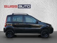 FIAT Panda 1.3 16V JTD Climbing 4x4, Diesel, Occasioni / Usate, Manuale - 4