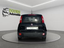 FIAT Panda 0.9 Twinair Turbo Lounge, Essence, Occasion / Utilisé, Manuelle - 5