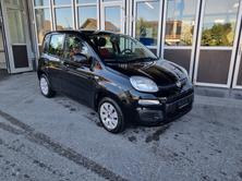 FIAT Panda 1.2 Cool, Essence, Occasion / Utilisé, Manuelle - 2
