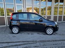 FIAT Panda 1.2 Cool, Essence, Occasion / Utilisé, Manuelle - 3