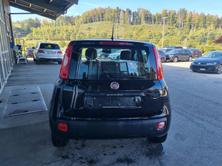 FIAT Panda 1.2 Cool, Essence, Occasion / Utilisé, Manuelle - 5