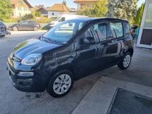 FIAT Panda 1.2 Cool, Essence, Occasion / Utilisé, Manuelle - 7