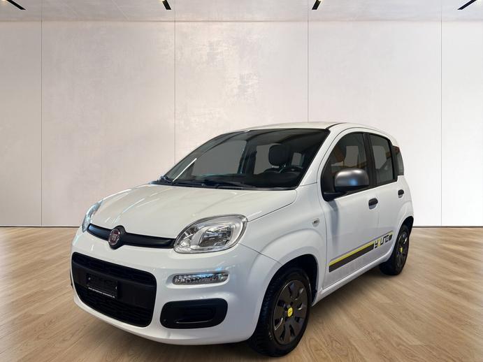 FIAT Panda 1.2 Young, Essence, Occasion / Utilisé, Manuelle