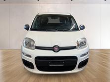 FIAT Panda 1.2 Young, Essence, Occasion / Utilisé, Manuelle - 2