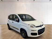 FIAT Panda 1.2 Young, Essence, Occasion / Utilisé, Manuelle - 3