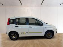 FIAT Panda 1.2 Young, Essence, Occasion / Utilisé, Manuelle - 4