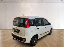 FIAT Panda 1.2 Young, Essence, Occasion / Utilisé, Manuelle - 5