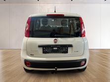 FIAT Panda 1.2 Young, Essence, Occasion / Utilisé, Manuelle - 6