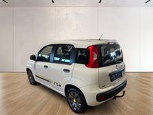 FIAT Panda 1.2 Young, Essence, Occasion / Utilisé, Manuelle - 7