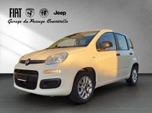 FIAT Panda 1.2 Cool, Petrol, Second hand / Used, Manual - 2
