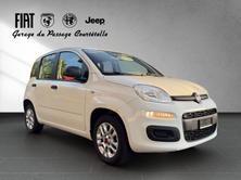 FIAT Panda 1.2 Cool, Petrol, Second hand / Used, Manual - 3