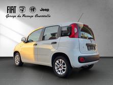 FIAT Panda 1.2 Cool, Petrol, Second hand / Used, Manual - 4