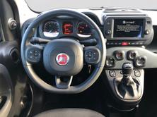 FIAT Panda 1.0 MHEV RED, Mild-Hybrid Benzin/Elektro, Occasion / Gebraucht, Handschaltung - 7