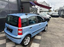 FIAT Panda 1.2 Dynamic plus, Benzin, Occasion / Gebraucht, Automatik - 5