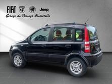 FIAT Panda 1.2 Climbing 4x4, Petrol, Second hand / Used, Manual - 5