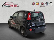 FIAT Panda 1.0 MHEV City Life, Mild-Hybrid Benzin/Elektro, Vorführwagen, Handschaltung - 4