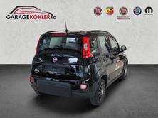 FIAT Panda 1.0 MHEV City Life, Mild-Hybrid Benzin/Elektro, Vorführwagen, Handschaltung - 5