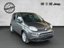 FIAT Panda 1.0 Hybrid Cult, Hybride Leggero Benzina/Elettrica, Auto nuove, Manuale - 2