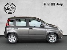 FIAT Panda 1.0 Hybrid Cult, Hybride Leggero Benzina/Elettrica, Auto nuove, Manuale - 5