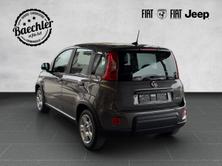 FIAT Panda 1.0 Hybrid Cult, Mild-Hybrid Benzin/Elektro, Neuwagen, Handschaltung - 7