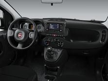 FIAT Panda 1.0 Hybrid Cult, Mild-Hybrid Benzin/Elektro, Neuwagen, Handschaltung - 4