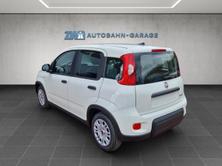 FIAT Panda 1.0 Hybrid Cult, Mild-Hybrid Benzin/Elektro, Neuwagen, Handschaltung - 3