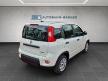FIAT Panda 1.0 Hybrid Cult, Hybride Leggero Benzina/Elettrica, Auto nuove, Manuale - 5