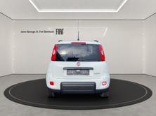 FIAT Panda 1.0 Hybrid City Life, Mild-Hybrid Benzin/Elektro, Neuwagen, Handschaltung - 5
