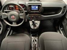 FIAT PANDA 1.0 Hybrid 70 Cult, Benzina, Auto nuove, Manuale - 4