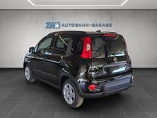 FIAT Panda 1.0 Hybrid City Life, Mild-Hybrid Benzin/Elektro, Neuwagen, Handschaltung - 3