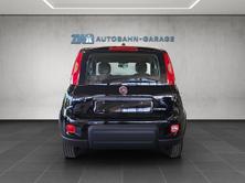 FIAT Panda 1.0 Hybrid Cult, Mild-Hybrid Benzin/Elektro, Neuwagen, Handschaltung - 4