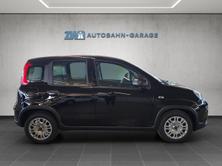 FIAT Panda 1.0 Hybrid Cult, Hybride Leggero Benzina/Elettrica, Auto nuove, Manuale - 6