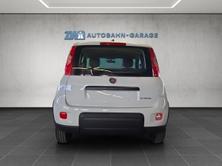 FIAT Panda 1.0 Hybrid Cult, Hybride Leggero Benzina/Elettrica, Auto nuove, Manuale - 4