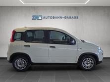 FIAT Panda 1.0 Hybrid Cult, Mild-Hybrid Benzin/Elektro, Neuwagen, Handschaltung - 6