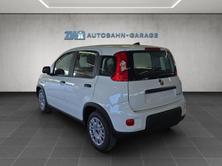 FIAT Panda 1.0 Hybrid Cult, Hybride Leggero Benzina/Elettrica, Auto nuove, Manuale - 3