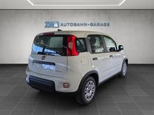 FIAT Panda 1.0 Hybrid Cult, Mild-Hybrid Petrol/Electric, New car, Manual - 5