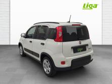 FIAT Panda 1.0 Hybrid City Life, Mild-Hybrid Benzin/Elektro, Neuwagen, Handschaltung - 4