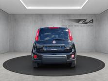 FIAT PANDA 1.0 Hybrid City Life, Mild-Hybrid Benzin/Elektro, Neuwagen, Handschaltung - 4