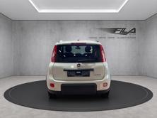FIAT PANDA 1.0 Hybrid City Life, Mild-Hybrid Benzin/Elektro, Neuwagen, Handschaltung - 4