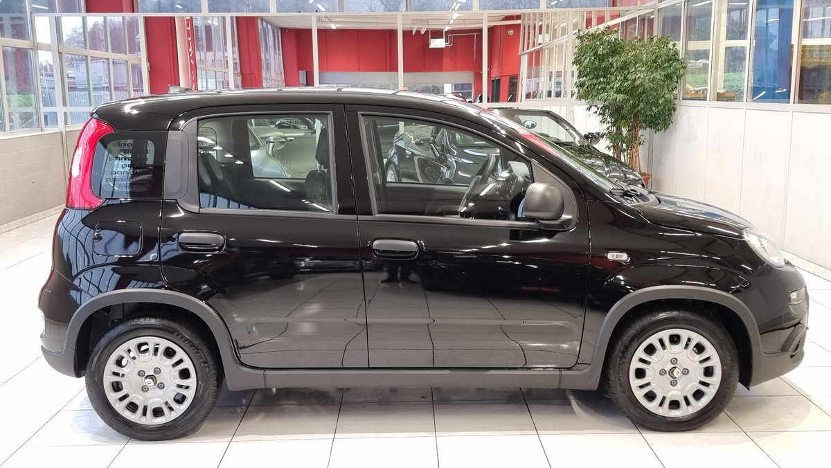 FIAT Panda 1.0 Hybrid City Life, Hybride Léger Essence/Électricité, Voiture nouvelle, Manuelle - 7